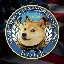 DOGE图标